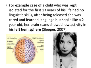 • For example case of a child who was kept
isolated for the first 13 years of his life had no
linguistic skills, after being released she was
cared and learned language but spoke like a 2
year old, her brain scans showed low activity in
his left hemisphere (Sleeper, 2007).
 