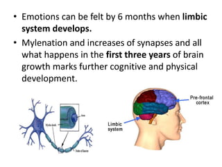 • Emotions can be felt by 6 months when limbic
system develops.
• Mylenation and increases of synapses and all
what happens in the first three years of brain
growth marks further cognitive and physical
development.
 