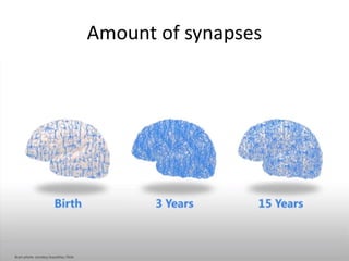 Amount of synapses
 