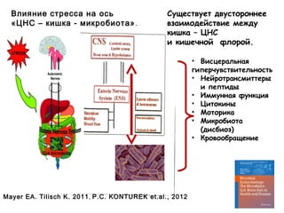 • Висцеральная
гиперчувствительность
• Нейротрансмиттеры
и пептиды
• Иммунная функция
• Цитокины
• Моторика
• Микробиота
(дисбиоз)
• Кровообращение
Mayer EA. Tilisch K. 2011, P.C. KONTUREK et.al., 2012
Существует двустороннее
взаимодействие между
кишка – ЦНС
и кишечной флорой.
Влияние стресса на ось
«ЦНС – кишка - микробиота».
 