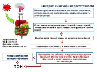 Синдром кишечной недостаточности
Нарушение экзогенного и эндогенного питания
Выключение тонкой кишки из межуточного обмена
Расстройства обмена, нарушения барьерной
функции стенки кишечника, транслокация
бактерий и эндотоксинов, нарастание
интоксикации
Сочетанные нарушения двигательной, секреторной,
переваривающей и всасывательной функции тонкой
кишки
Мезентериальная ишемия, гипоксия ворсинок,
острое местное воспаление, недостаточность
энтероцитов
гиперметаболизмгиперметаболизм
гиперкатаболизмгиперкатаболизм
ПОН
Афферентная
Эфферентная
Симпатическая,
Парасимпатическая н.с.
 
