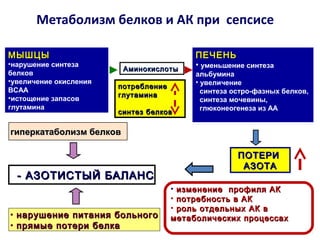 Метаболизм белков и АК при сепсисе
гиперкатаболизм белковгиперкатаболизм белков
- АЗОТИСТЫЙ БАЛАНС- АЗОТИСТЫЙ БАЛАНС
• нарушение питания больногонарушение питания больного
• прямые потери белкапрямые потери белка
ПЕЧЕНЬПЕЧЕНЬ
• уменьшение синтеза
альбумина
• увеличение
синтеза остро-фазных белков,
синтеза мочевины,
глюконеогенеза из АА
АминокислотыАминокислоты
ПОТЕРИПОТЕРИ
АЗОТААЗОТА
• изменение профиля АКизменение профиля АК
• потребность в АКпотребность в АК
• роль отдельных АК вроль отдельных АК в
метаболических процессахметаболических процессах
потреблениепотребление
глутаминаглутамина
синтез белковсинтез белков
МЫШЦЫМЫШЦЫ
•нарушение синтеза
белков
•увеличение окисления
BCAA
•истощение запасов
глутамина
 