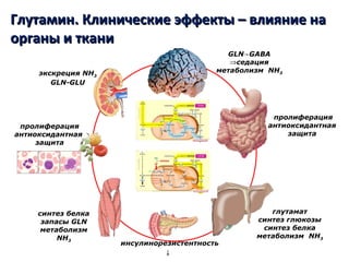 What is special with glutamine?
экскреция NH3
GLN-GLU
пролиферация
антиоксидантная
защита
синтез белка
запасы GLN
метаболизм
NH3
инсулинорезистентность
↓
пролиферация
антиоксидантная
защита
GLN GABA→
⇒седация
метаболизм NH3
глутамат
синтез глюкозы
синтез белка
метаболизм NH3
Глутамин. Клинические эффекты – влияние наГлутамин. Клинические эффекты – влияние на
органы и тканиорганы и ткани
 