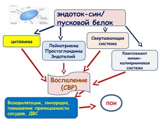 цитокины
Лейкотриены
Простагландины
Эндотелий
Свертывающая
система
Комплемент
кинин-
каликрииновая
система
эндоток­син/
пусковой белок
Воспаление
(СВР)
Вазодилятация, лихорадка,
повышение проницаемости
сосудов, ДВС
ПОН
 