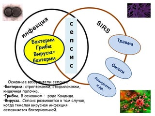инф
екция SIR
S
ТравмаБактерии
Грибы
Вирусы+
бактерии
Ожоги
Панкреатит
и др.
Основные возбудители сепсиса
•Бактерии: стрептококки, стафилококки,
кишечная палочка,
•Грибки. В основном – рода Кандида.
•Вирусы. Сепсис развивается в том случае,
когда тяжелая вирусная инфекция
осложняется бактериальной.
 