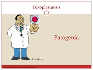Patogenia
Toxoplasmosis
http://www.taringa.net/posts/info/18769104/los-simpsons-Megapost.html
 