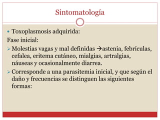 Sintomatología
 Toxoplasmosis adquirida:
Fase inicial:
Molestias vagas y mal definidas astenia, febrículas,
cefalea, eritema cutáneo, mialgias, artralgias,
náuseas y ocasionalmente diarrea.
Corresponde a una parasitemia inicial, y que según el
daño y frecuencias se distinguen las siguientes
formas:
 