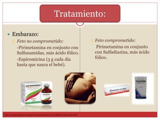  Embarazo:
 Feto no comprometido:
-Pirimetamina en conjunto con
Sulfonamidas, más ácido fólico.
-Espiromicina (3 g cada día
hasta que nazca el bebé).
 Feto comprometido:
Pirimetamina en conjunto
con Sulfadiazina, más ácido
fólico.
Tratamiento:
http://sp.depositphotos.com/4647120/stock-illustration-set-of-different-isolated-pills.html
 