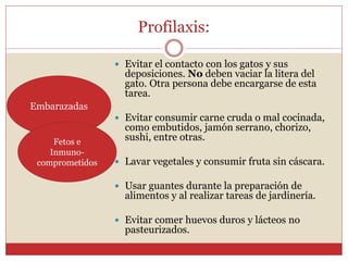  Evitar el contacto con los gatos y sus
deposiciones. No deben vaciar la litera del
gato. Otra persona debe encargarse de esta
tarea.
 Evitar consumir carne cruda o mal cocinada,
como embutidos, jamón serrano, chorizo,
sushi, entre otras.
 Lavar vegetales y consumir fruta sin cáscara.
 Usar guantes durante la preparación de
alimentos y al realizar tareas de jardinería.
 Evitar comer huevos duros y lácteos no
pasteurizados.
Profilaxis:
Embarazadas
Fetos e
Inmuno-
comprometidos
 