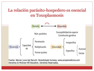 La relación parásito-hospedero es esencial
en Toxoplasmosis
 