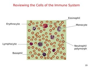 5. pathophysiology of the diseases | PDF