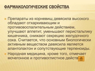 ФАРМАКОЛОГИЧЕСКИЕ СВОЙСТВА
 Препараты из корневищ девясила высокого
обладают отхаркивающим и
противовоспалительным действием,
улучшают аппетит, уменьшают перистальтику
кишечника, снижают секрецию желудочного
сока. Считается, что основным биологически
активным веществом девясила является
алантолактон и сопутствующие терпеноиды.
 Народная медицина, кроме того, отмечает
мочегонное и противоглистное действие.
 
