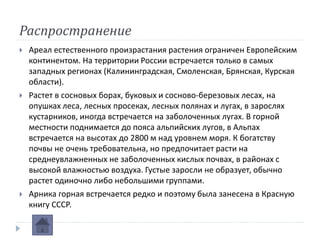 Распространение
 Ареал естественного произрастания растения ограничен Европейским
континентом. На территории России встречается только в самых
западных регионах (Калининградская, Смоленская, Брянская, Курская
области).
 Растет в сосновых борах, буковых и сосново-березовых лесах, на
опушках леса, лесных просеках, лесных полянах и лугах, в зарослях
кустарников, иногда встречается на заболоченных лугах. В горной
местности поднимается до пояса альпийских лугов, в Альпах
встречается на высотах до 2800 м над уровнем моря. К богатству
почвы не очень требовательна, но предпочитает расти на
среднеувлажненных не заболоченных кислых почвах, в районах с
высокой влажностью воздуха. Густые заросли не образует, обычно
растет одиночно либо небольшими группами.
 Арника горная встречается редко и поэтому была занесена в Красную
книгу СССР.
 