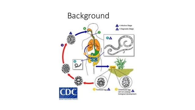 what does causal inference mean in science