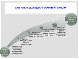 МАЛ, АМЬТНЫ ХАЛДВАРТ ӨВЧИНТЭЙ ТЭМЦЭХ
тэмцэх арга
хэмжээний
хөтөлбөр,
төлөвлөгөө
боловсруулах
Оролцогч
талуудын эрх
үүргийг
тодорхойлох
Эрх бүхий
байгууллагын
шийдвэр гаргуулах
Шийдвэрийг
хэрэгжүүлэх
ажлыг зохион
байгуулах
Ажлын явц,
гүйцэтгэлд
хяналт,
шинжилгээ
үнэлгээ хийх,
мэдээлэх
Нөхцөл,
байдлын
үнэлгээ
Үр дүнгийн
тайлан,
мэдээлэл
 
