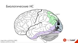 Биологические	НС
«что?»Ungerleider	and	Mishkin (1982)
Goodale	and	Milner	(1992)
«где?»
 