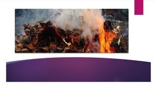 гончарова анна 5в клас