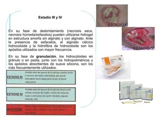Estadio III y IV
En su fase de desbridamiento (necrosis seca,
necrosis húmeda/esfacelos) pueden utilizarse hidrogel
en estructura amorfa sin alginato y con alginato. Ante
la presencia de esfacelos, el alginato cálcico
hidrocoloide y la hidrofibra de hidrocoloide son los
apósitos utilizados con mayor frecuencia.
En su fase de granulación, los hidrocoloides en
gránulo o en pasta, junto con los hidropoliméricos y
los apósitos absorbentes de suave silicona, son los
más frecuentemente utilizados.
 