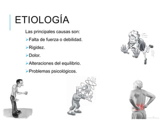 ETIOLOGÍA
Las principales causas son:
Falta de fuerza o debilidad.
Rigidez.
Dolor.
Alteraciones del equilibrio.
Problemas psicológicos.
 