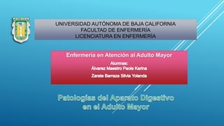 UNIVERSIDAD AUTÓNOMA DE BAJA CALIFORNIA
FACULTAD DE ENFERMERÍA
LICENCIATURA EN ENFERMERÍA
Enfermería en Atención al Adulto Mayor
 