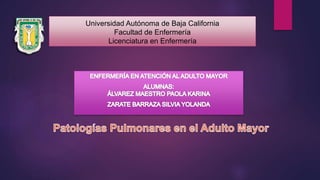 Universidad Autónoma de Baja California
Facultad de Enfermería
Licenciatura en Enfermería
 