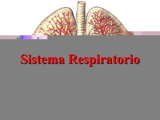 Sistema RespiratorioSistema Respiratorio
 