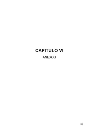163
CAPITULO VI
ANEXOS
 