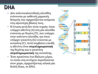 DDNANA
• Δύο πολυνουκλεοτιδικές αλυσίδες
ενώνονται με ασθενείς χημικούς
δεσμούς που σχηματίζονται ανάμεσα
στις αζωτούχες βάσεις τους.
• Η ένωση αυτή δεν είναι τυχαία: όπου
υπάρχει αδενίνη (Α) στη μία αλυσίδα
ενώνεται με θυμίνη (Τ), που υπάρχει
στην απέναντι αλυσίδα, και όπου
υπάρχει γουανίνη (G) ενώνεται με
κυτοσίνη (C). Αυτό συμβαίνει επειδή
η αδενίνη είναι συμπληρωματική
της θυμίνης και η γουανίνη
συμπληρωματική της κυτοσίνης.
• Έτσι προκύπτει ένα δίκλωνο μόριο,
το οποίο στη συνέχεια περιελίσσεται
στον χώρο, σχηματίζοντας τελικά μία
διπλή έλικα, το DNA.
 