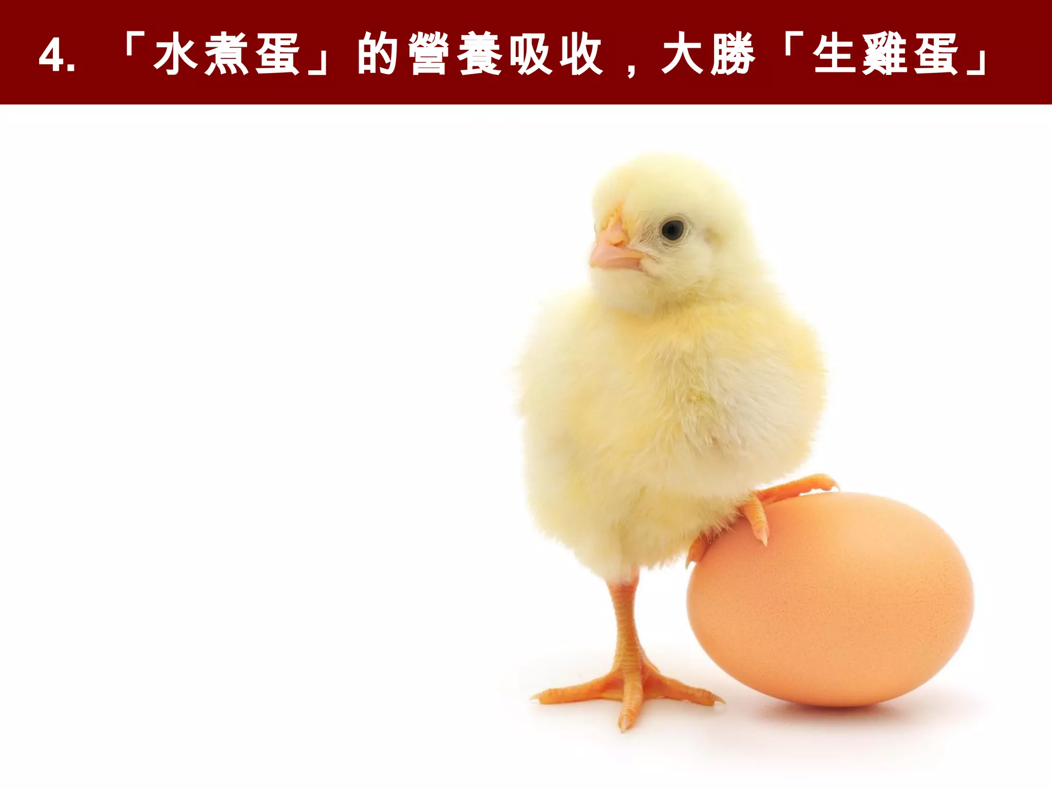 4. 「水煮蛋」的營養吸收，大勝「生雞蛋」
 