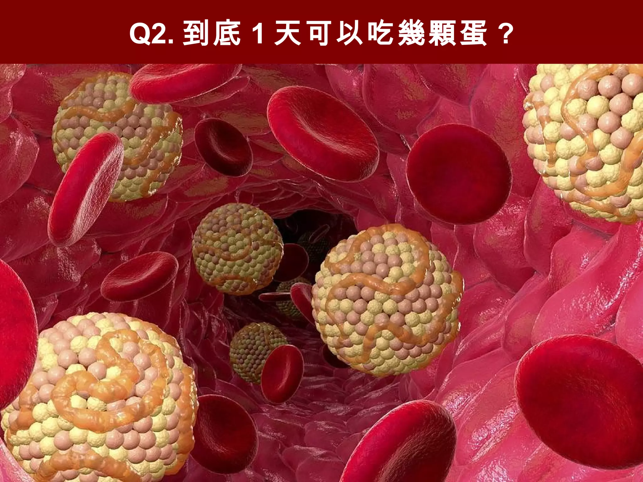 Q2. 到底 1 天可以吃幾顆蛋 ?
 