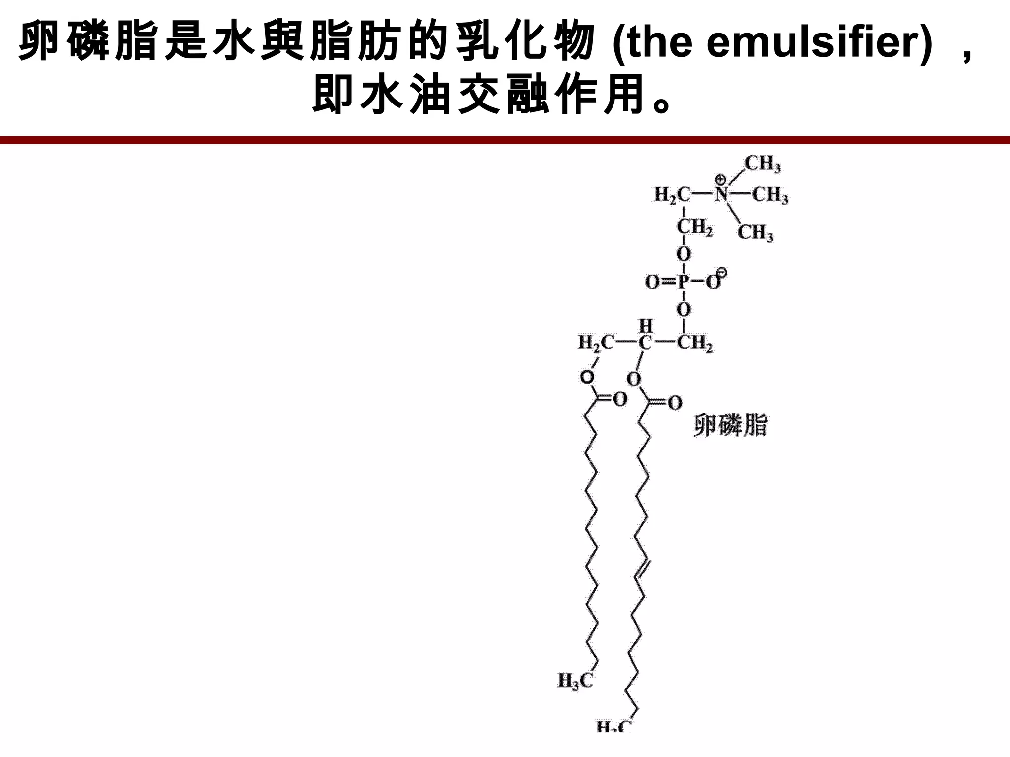 卵磷脂是水與脂肪的乳化物 (the emulsifier) ，
即水油交融作用。
 
