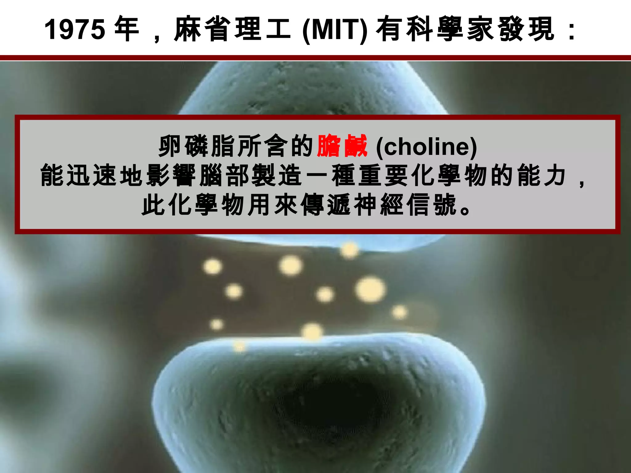 1975 年，麻省理工 (MIT) 有科學家發現：
卵磷脂所含的膽鹹 (choline)
能迅速地影響腦部製造一種重要化學物的能力，
此化學物用來傳遞神經信號。
 