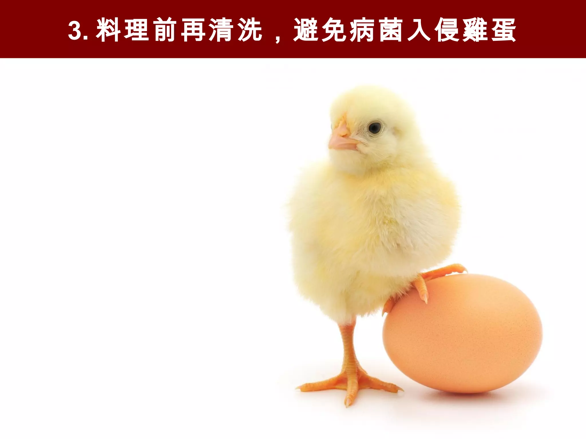 3. 料理前再清洗，避免病菌入侵雞蛋
 