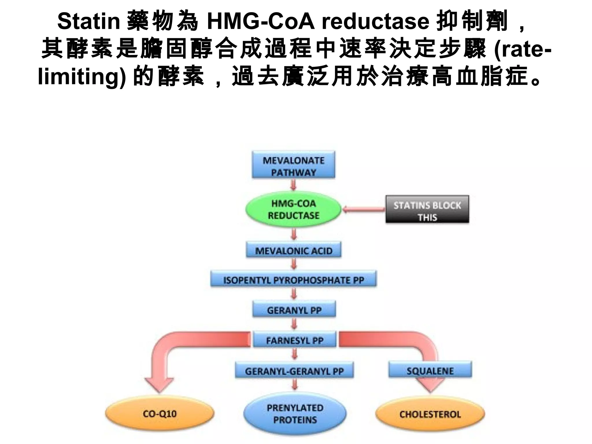 Statin 藥物為 HMG-CoA reductase 抑制劑，
其酵素是膽固醇合成過程中速率決定步驟 (rate-
limiting) 的酵素，過去廣泛用於治療高血脂症。
 