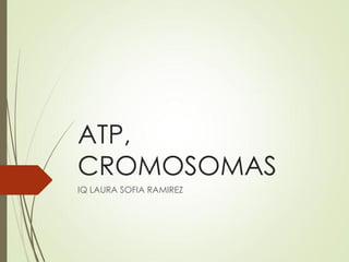 ATP,
CROMOSOMAS
IQ LAURA SOFIA RAMIREZ
 