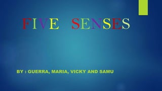 FIVE SENSES
BY : GUERRA, MARIA, VICKY AND SAMU
 