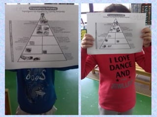 5. Πυραμίδα διατροφής