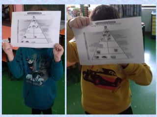 5. Πυραμίδα διατροφής