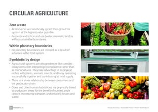 Circular Economy - Sustainable Flows in Agriculture | PDF