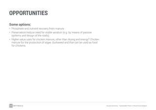 Circular Economy - Sustainable Flows in Agriculture | PDF