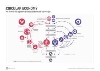 Circular Economy - Sustainable Flows in Agriculture | PDF