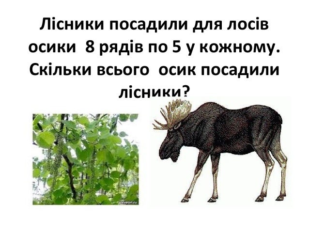 Лісники посадили для лосів
осики 8 рядів по 5 у кожному.
Скільки всього осик посадили
лісники?