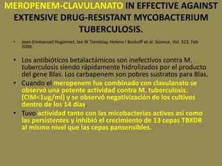 112
MEROPENEM-CLAVULANATO IN EFFECTIVE AGAINST
EXTENSIVE DRUG-RESISTANT MYCOBACTERIUM
TUBERCULOSIS.
• Jean-Emmanuel Hugonnet, lee W Tremblay, Helena I Boshoff et al. Sicence, Vol. 323, Feb
2009.
• Los antibióticos betalactámicos son inefectivos contra M.
tuberculosis siendo rápidamente hidrolizados por el producto
del gene Blas. Los carbapenem son pobres sustratos para Blas.
• Cuando el meropenem fue combinado con clavulanato se
observó una potente actividad contra M. tuberculosis.
(CIM<1ug/ml) y se observó negativización de los cultivos
dentro de los 14 días.
• Tuvo actividad tanto con las micobacterias activas así como
las persistentes y inhibió el crecimiento de 13 cepas TBXDR
al mismo nivel que las cepas pansensibles.
 
