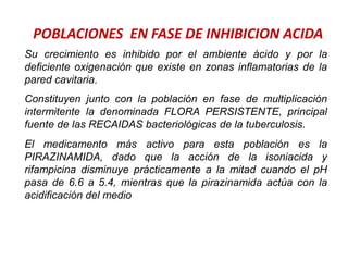 POBLACIONES EN FASE DE INHIBICION ACIDA
Su crecimiento es inhibido por el ambiente ácido y por la
deficiente oxigenación que existe en zonas inflamatorias de la
pared cavitaria.
Constituyen junto con la población en fase de multiplicación
intermitente la denominada FLORA PERSISTENTE, principal
fuente de las RECAIDAS bacteriológicas de la tuberculosis.
El medicamento más activo para esta población es la
PIRAZINAMIDA, dado que la acción de la isoniacida y
rifampicina disminuye prácticamente a la mitad cuando el pH
pasa de 6.6 a 5.4, mientras que la pirazinamida actúa con la
acidificación del medio
 
