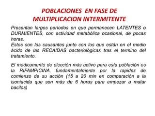 POBLACIONES EN FASE DE
MULTIPLICACION INTERMITENTE
Presentan largos períodos en que permanecen LATENTES o
DURMIENTES, con actividad metabólica ocasional, de pocas
horas.
Estos son los causantes junto con los que están en el medio
ácido de las RECAIDAS bacteriológicas tras el termino del
tratamiento.
El medicamento de elección más activo para esta población es
la RIFAMPICINA, fundamentalmente por la rapidez de
comienzo de su acción (15 a 20 min en comparación a la
isoniacida que son más de 6 horas para empezar a matar
bacilos)
 