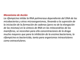 Mecanismo de Acción
La rifampicina inhibe la RNA polimerasa dependiente del DNA de las
micobacterias y otros microorganismos, llevando a la supresión de
la iniciación de la formación de cadenas (pero no de la elongación
de las mismas) en la síntesis de RNA en las mitocondrias de los
mamíferos, se necesitan para ello concentraciones de la droga
mucho mayores que para la inhibición de la enzima bacteriana, la
rifampicina es bactericida, tanto para organismos intracelulares
como extracelulares.
 