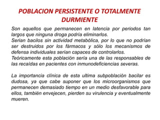 POBLACION PERSISTENTE O TOTALMENTE
DURMIENTE
Son aquellos que permanecen en latencia por periodos tan
largos que ninguna droga podría eliminarlos.
Serian bacilos sin actividad metabólica, por lo que no podrían
ser destruidos por los fármacos y sólo los mecanismos de
defensa individuales serían capaces de controlarlos.
Teóricamente esta población sería una de las responsables de
las recaídas en pacientes con inmunodeficiencias severas.
La importancia clínica de esta ultima subpoblación bacilar es
dudosa, ya que cabe suponer que los microorganismos que
permanecen demasiado tiempo en un medio desfavorable para
ellos, también envejecen, pierden su virulencia y eventualmente
mueren.
 