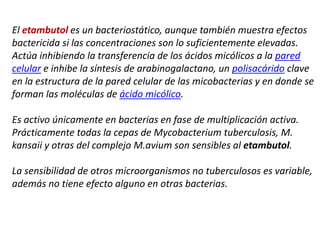 El etambutol es un bacteriostático, aunque también muestra efectos
bactericida si las concentraciones son lo suficientemente elevadas.
Actúa inhibiendo la transferencia de los ácidos micólicos a la pared
celular e inhibe la síntesis de arabinogalactano, un polisacárido clave
en la estructura de la pared celular de las micobacterias y en donde se
forman las moléculas de ácido micólico.
Es activo únicamente en bacterias en fase de multiplicación activa.
Prácticamente todas la cepas de Mycobacterium tuberculosis, M.
kansaii y otras del complejo M.avium son sensibles al etambutol.
La sensibilidad de otros microorganismos no tuberculosos es variable,
además no tiene efecto alguno en otras bacterias.
 