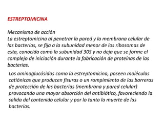 ESTREPTOMICINA
Mecanismo de acción
La estreptomicina al penetrar la pared y la membrana celular de
las bacterias, se fija a la subunidad menor de los ribosomas de
esta, conocida como la subunidad 30S y no deja que se forme el
complejo de iniciación durante la fabricación de proteínas de las
bacterias.
Los aminoglucósidos como la estreptomicina, poseen moléculas
catiónicas que producen fisuras o un rompimiento de las barreras
de protección de las bacterias (membrana y pared celular)
provocando una mayor absorción del antibiótico, favoreciendo la
salida del contenido celular y por lo tanto la muerte de las
bacterias.
 