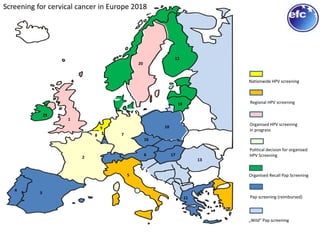 1
29
2
3
4
5
6
78
9 10
13
16
17
19
20
12
11
21
Screening for cervical cancer in Europe 2018
Pap screening (reimbursed)
Nationwide HPV screening
Organised HPV screening
in progress
„Wild“ Pap screening
Regional HPV screening
Organised Recall Pap Screening
Political decision for organised
HPV Screening
 
